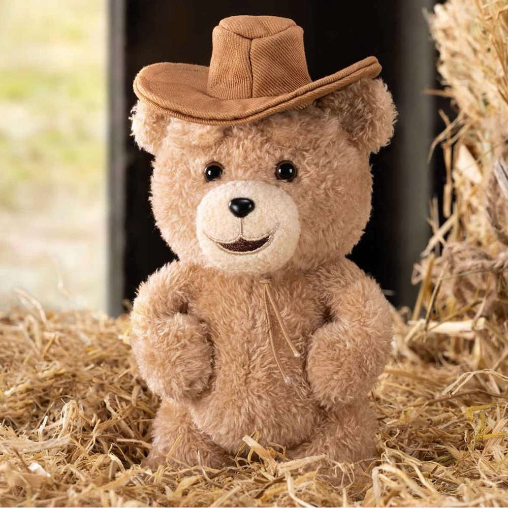 POP MART-TED 2 TEDDY BEAR ACTION PENDANT-COWBOY BEAR